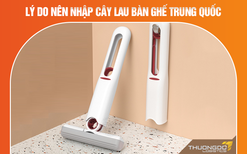 Lý do nên nhập cây lau bàn ghế Trung Quốc