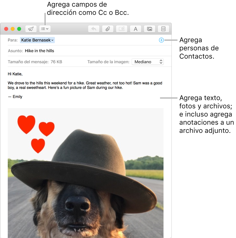 Una ventana de mensaje nuevo indicando el botón “Campos de encabezado”, mostrando el botón Agregar en el campo de direcciones para agregar personas de Contactos y mostrando una imagen marcada en el cuerpo del mensaje.