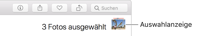 Auswahlanzeige mit drei ausgewählten Fotos
