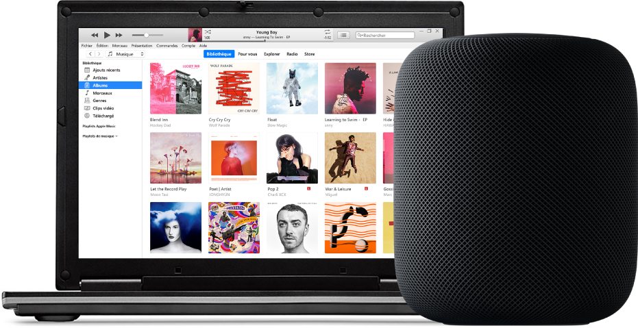 Un PC avec iTunes à l’écran et un HomePod à proximité.