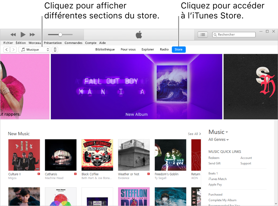 La fenêtre principale de l’iTunes Store : Dans la barre de navigation, Store est surligné. Dans le coin supérieur gauche, choisissez de voir différents contenus dans l’iTunes Store (par exemple Musique ou TV).