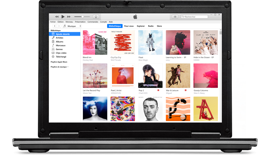 La fenêtre iTunes affichant une bibliothèque contenant plusieurs albums.