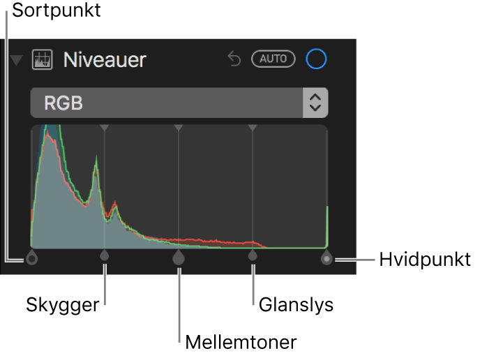 Betjeningsmuligheder til Niveauer langs RGB-histogrammet med sortpunkt, skygger, mellemtoner, glanslys og hvidpunkt (fra venstre mod højre).