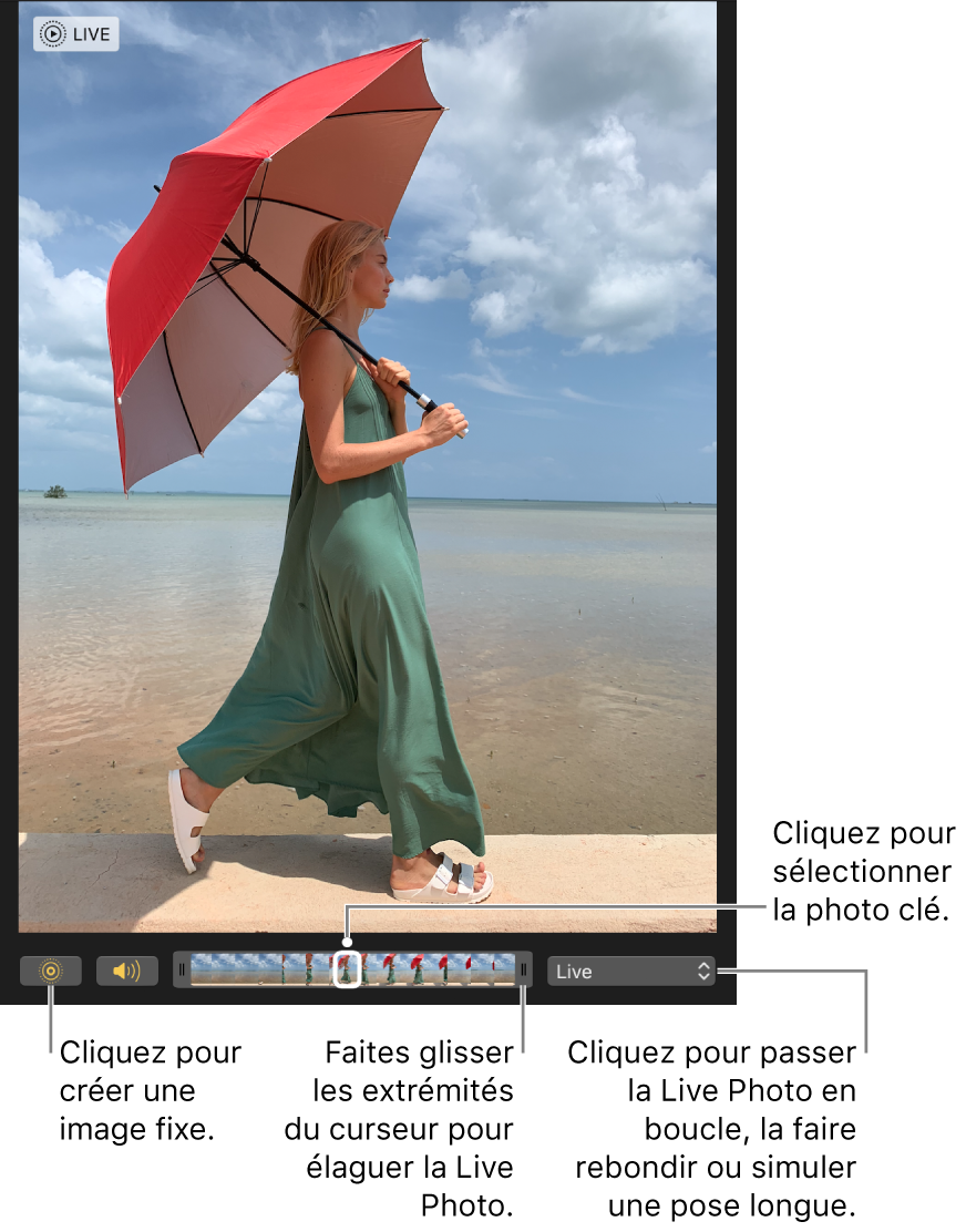 Une Live Photo en mode édition avec un curseur présentant les images de la photo. Les boutons Live Photo et Haut-parleur sont situés à gauche du curseur. Un menu local situé du côté droit permet d’ajouter un effet de boucle, de rebond ou de pose longue.