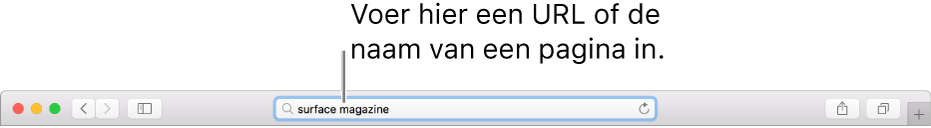 Het slimme zoekveld van Safari, waarin je de naam of URL van een pagina kunt typen.