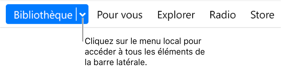 Le bouton Bibliothèque dans la barre de navigation affichant le menu local ; cliquez dessus pour accéder à tous les éléments de la barre latérale lorsque vous la masquez.