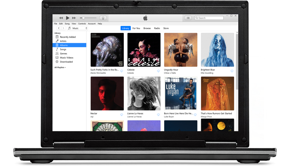 The iTunes window with a library of multiple albums.