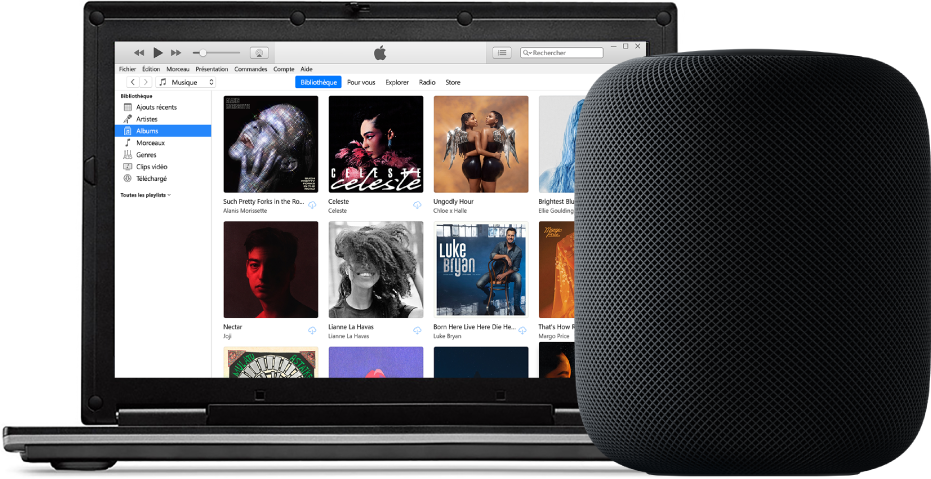 Un PC avec iTunes à l’écran et un HomePod à proximité.