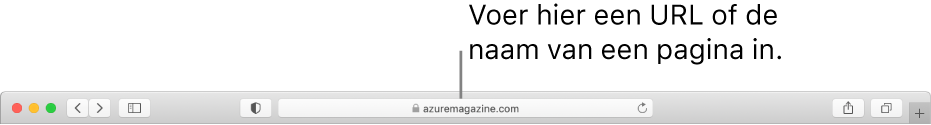 Het slimme zoekveld van Safari, waarin je de naam of URL van een pagina kunt typen.