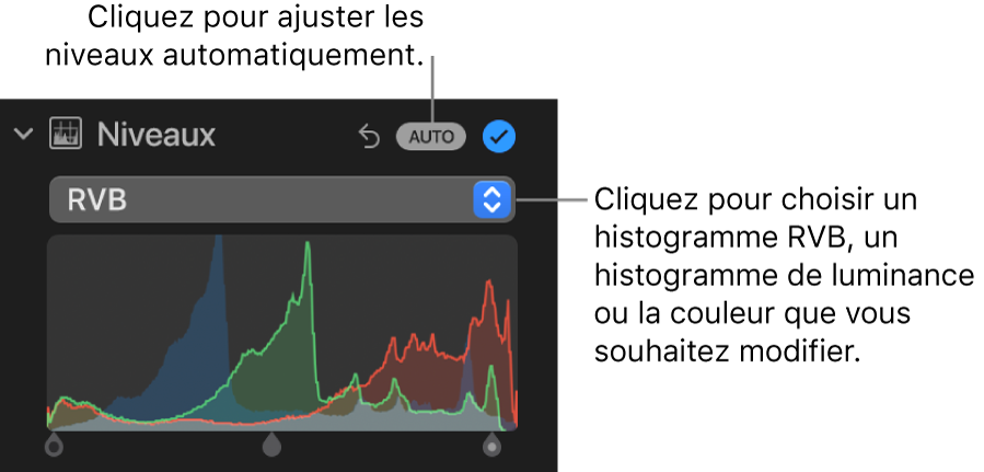 Les commandes de niveaux dans la sous-fenêtre Ajuster, affichant le bouton Auto. en haut à droite et l’histogramme RVB en dessous.