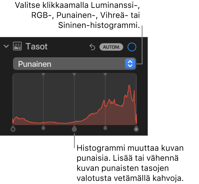 Tasosäätimet Säädöt-osiossa, ja näkyvillä on punainen histogrammi ja sen alla kahvat kuvan punaisuustasojen säätämiseen.