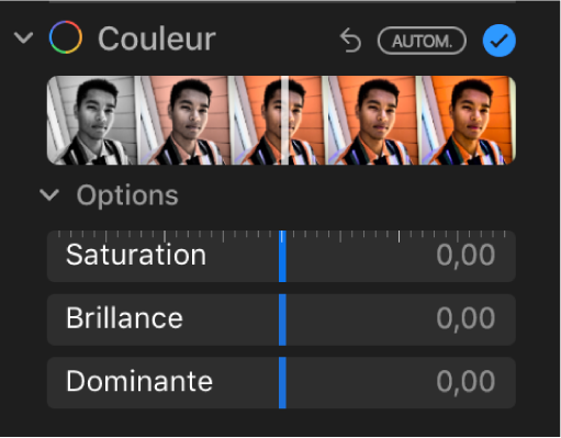 La zone Couleur de la sous-fenêtre Ajuster présentant les curseurs Saturation, Brillance et Dominante.