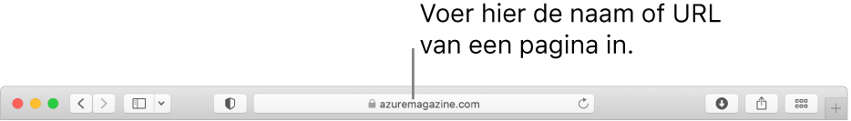 Het slimme zoekveld van Safari, waarin je de naam of URL van een pagina kunt typen.