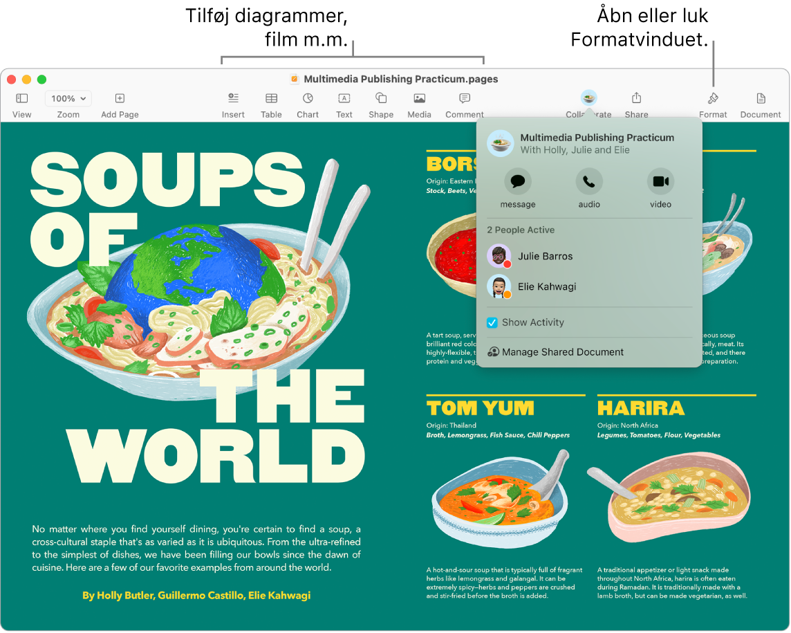 Et Pages-vindue, der viser aktivitets-streamen under knappen Samarbejde i værktøjslinjen, hvor to personer er aktive. Der er billedforklaringer om at tilføje diagrammer, film m.m. i værktøjslinjen og en billedforklaring om at åbne eller lukke indholdsoversigten Format.