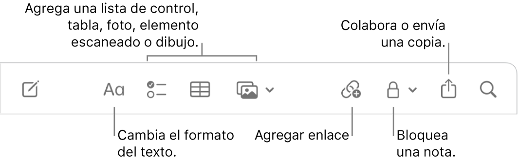 La barra de herramientas de Notas con texto indicando las herramientas de formato del texto, lista de comprobación, tabla, enlace, fotos/medios, bloqueo, compartir y enviar una copia.