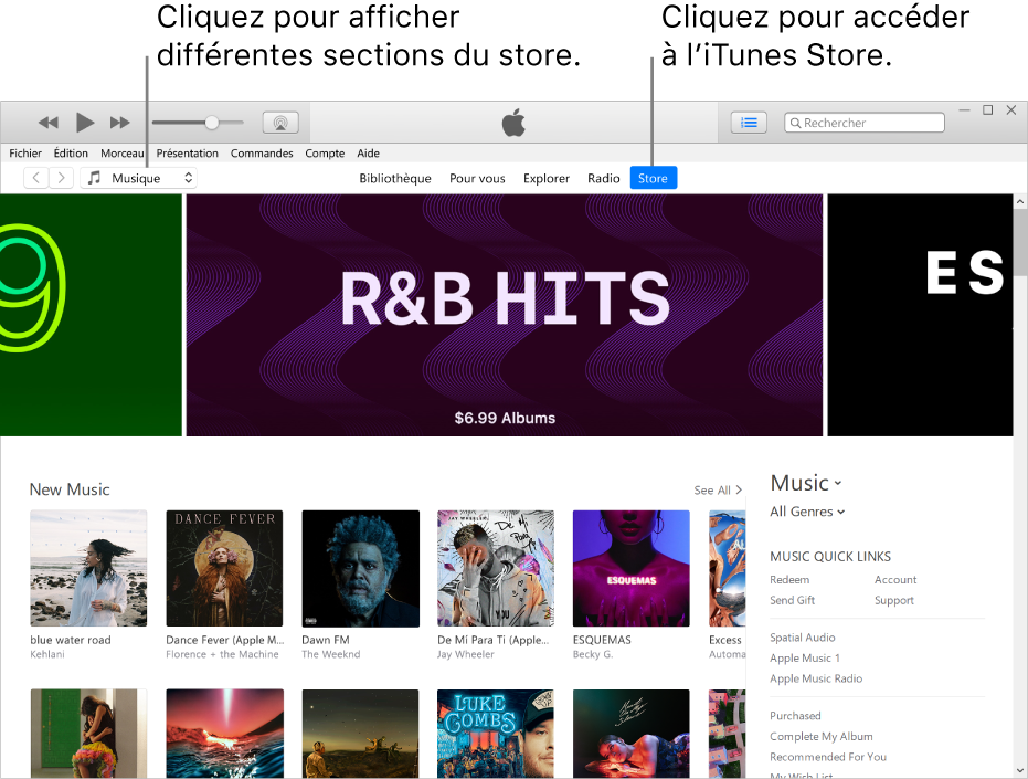 La fenêtre principale de l’iTunes Store : Dans la barre de navigation, Store est surligné. Dans le coin supérieur gauche, choisissez de voir différents contenus dans l’iTunes Store (par exemple Musique ou TV).