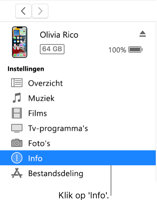 Het apparaatvenster met in de zijbalk aan de linkerkant 'Info' geselecteerd.