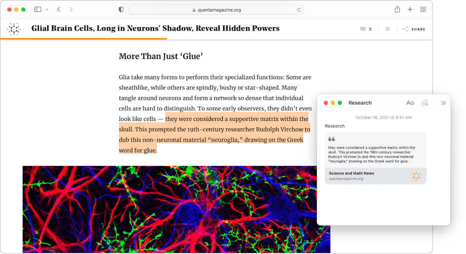 Una finestra di Safari con un testo evidenziato in un articolo di una rivista e una nota rapida chiamata Ricerca che include il testo e un link all'articolo.