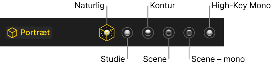 Lyseffekter til portrætfunktion, herunder (fra venstre til højre) Naturlig, Studie, Kontur, Scene, Scene – mono og High-Key Mono.