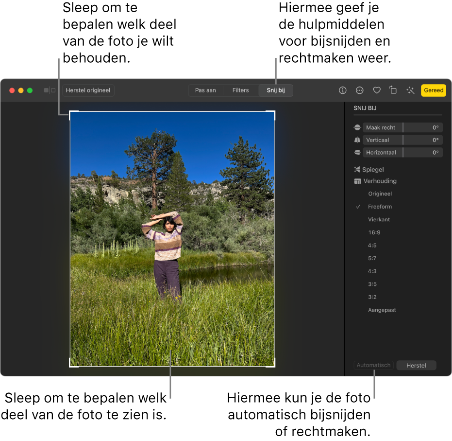 Een foto in de bewerkingsweergave, met 'Snij bij' geselecteerd in de knoppenbalk, een selectierechthoek rond de foto, schuifknoppen voor rechtmaken, opties voor verhouding en de knoppen 'Automatisch' en 'Herstel' aan de rechterkant.