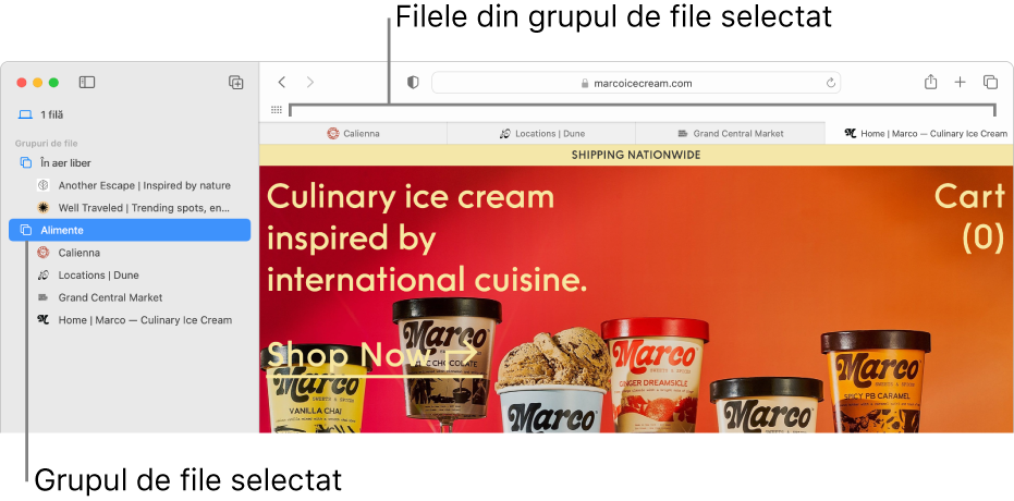 O fereastră Safari care afișează bara laterală cu un grup de file selectat.