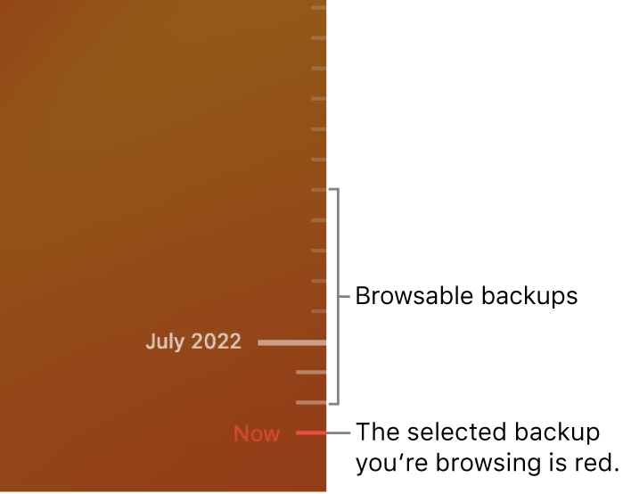 The Time Machine backup timeline.