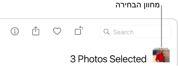 מחוון בחירה המציג שלוש תמונות שנבחרו.