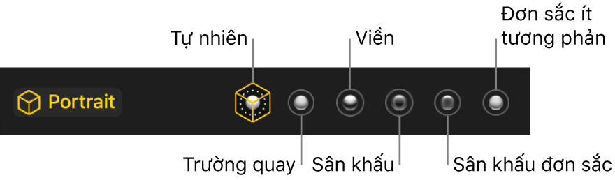 Các lựa chọn hiệu ứng chiếu sáng ở chế độ Chân dung, bao gồm (từ trái sang phải) Tự nhiên, Trường quay, Viền, Sân khấu, Sân khấu đơn sắc và Đơn sắc ít tương phản.