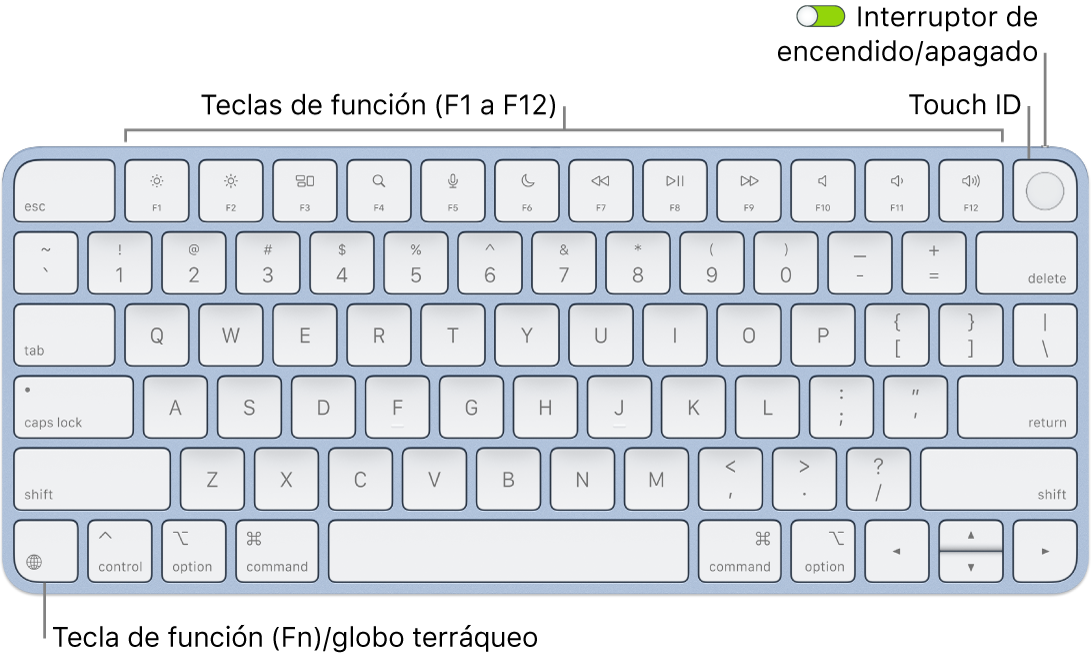 El Magic Keyboard con Touch ID mostrando la fila de teclas de función con el sensor Touch ID en la parte superior y la tecla de función (Fn)/globo terráqueo en la esquina inferior izquierda.