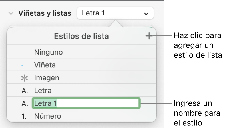 El menú desplegable Estilos de lista con el botón Agregar en la esquina superior derecha y un nombre de estilo de marcador de posición con su texto seleccionado.