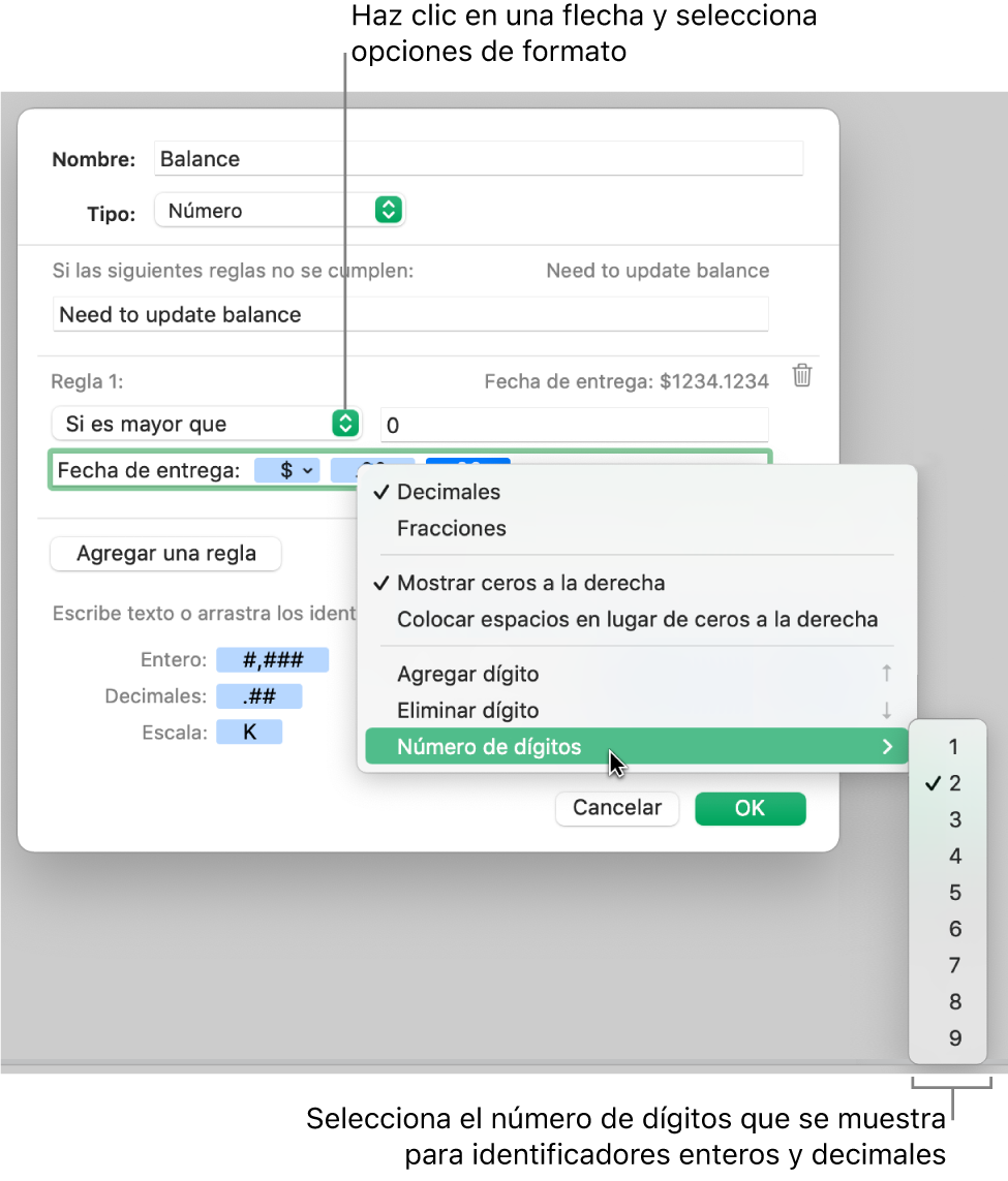 La ventana de formato de celda personalizado con controles para seleccionar opciones de formato personalizadas.