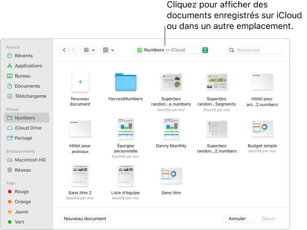 La zone de Dialogue Ouvrir avec la barre latérale ouverte sur la gauche et iCloud Drive sélectionné dans le menu local en haut. Des dossiers pour Keynote, Numbers et Pages apparaissent dans la zone de dialogue, ainsi que le bouton Nouveau document.