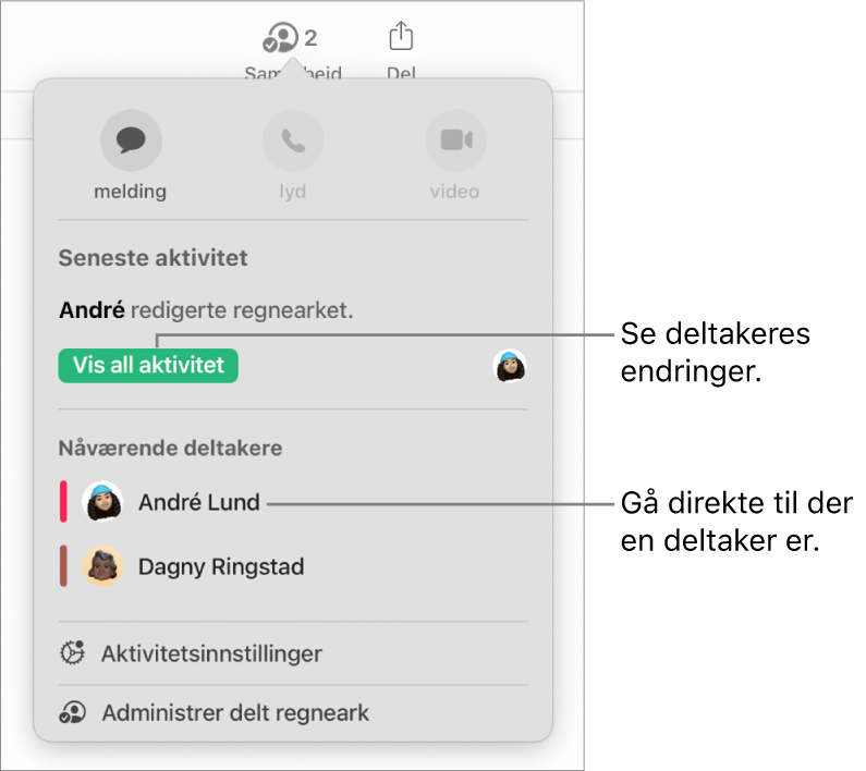 Samarbeidsmenyen, som viser to deltakere.