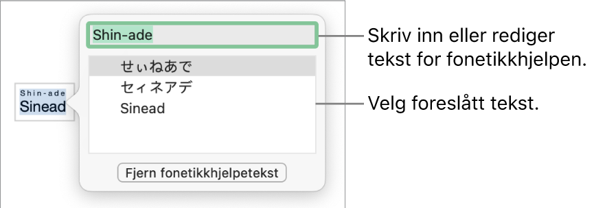 Fonetikkhjelpen er åpnet på et ord, med forklaringer for tekstfelt og foreslått tekst.