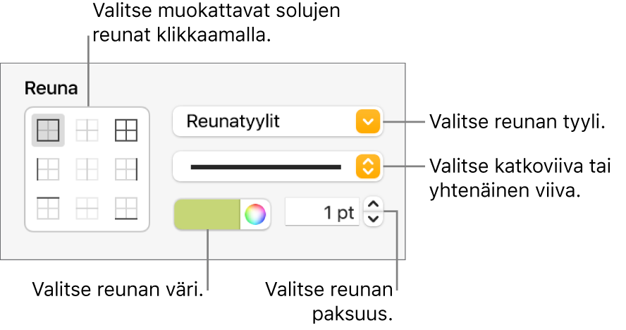 Säätimet solun reunojen tyylin asettamista varten.