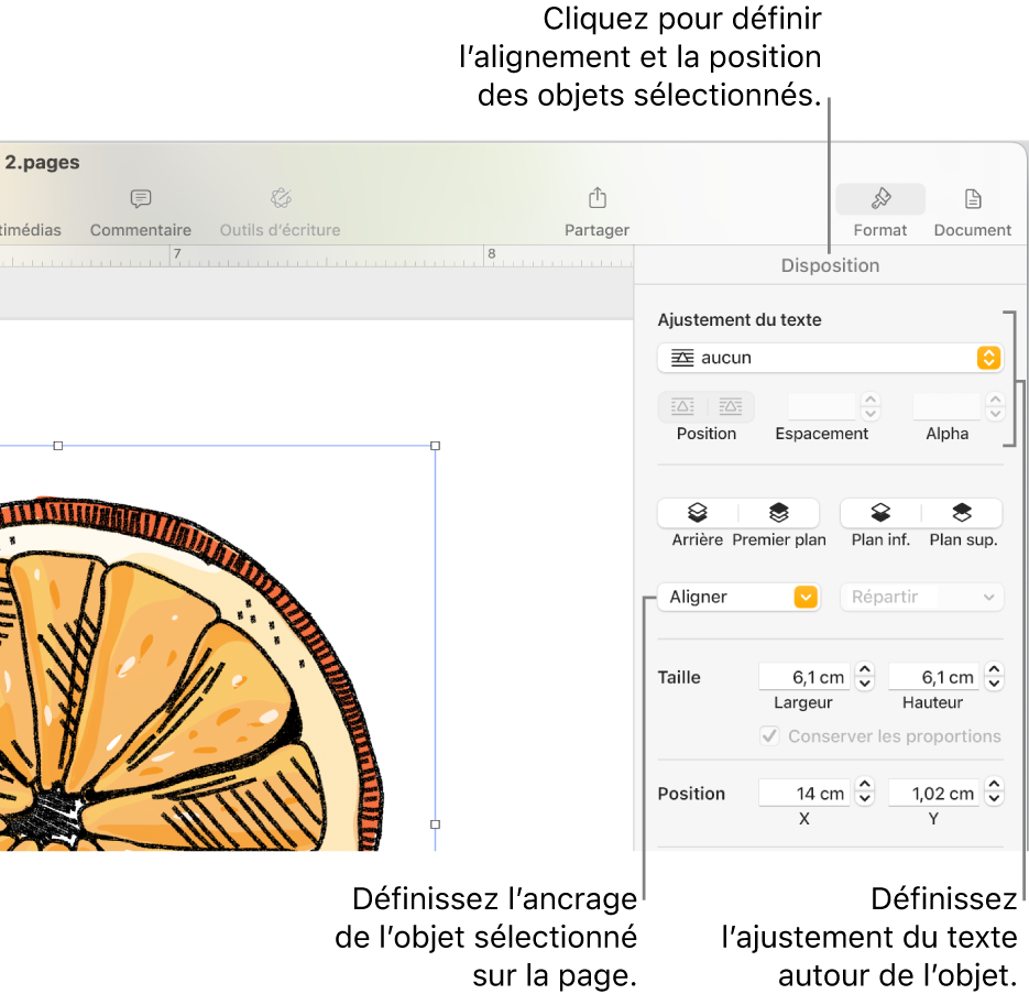 Le menu Format avec la barre latérale Disposition affichée. Les réglages « Placement objet » sont en haut de la barre latérale Disposition, avec les réglages « Ajustement du texte » en dessous.