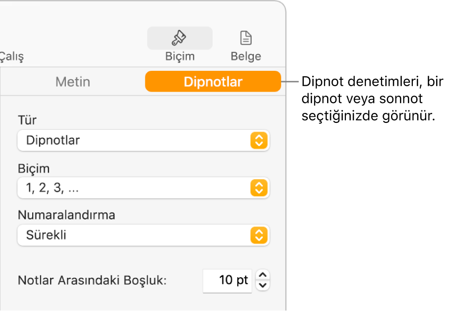 Tip, Biçim, Numaralandırma ve notlar arasındaki aralık için açılır menüleri gösteren Dipnotlar bölmesi.