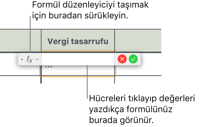 Formül Düzenleyici.