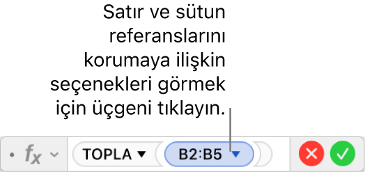 Satır ve sütun seçeneklerini koruma seçeneklerini açmak için tıkladığınız bir üçgenle Formül Düzenleyici.