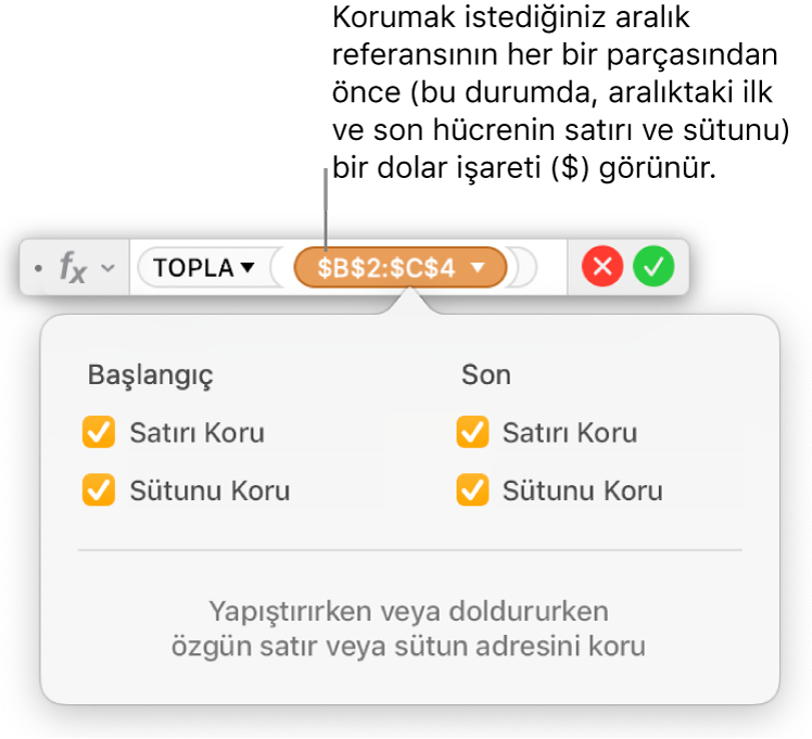 Belirli bir aralık için seçilen Satırı Koru ve Sütunu Koru seçeneklerini gösteren Formül Düzenleyici.