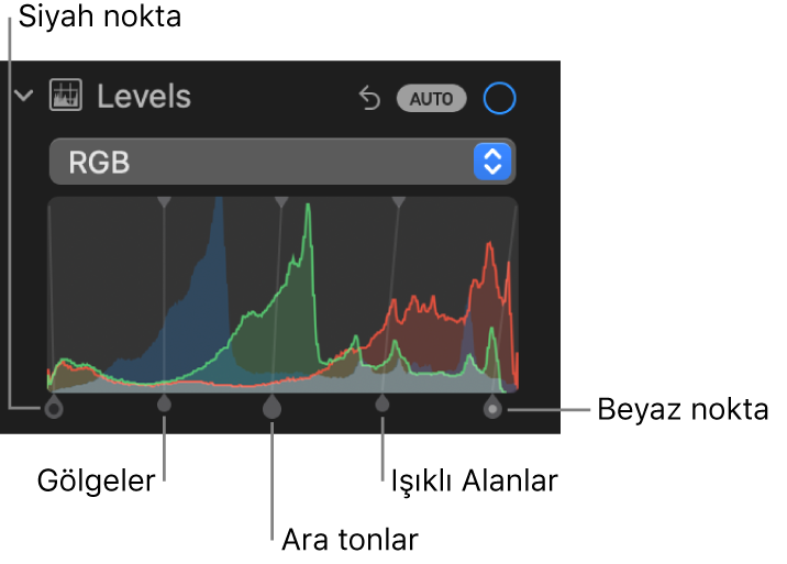 Soldan sağa siyah nokta, gölgeler, ara tonlar, ışıklı alanlar ve beyaz nokta dahil olmak üzere altta tutamaklarla RGB histogramını gösteren Ayarla bölümündeki Düzeyler denetimleri.