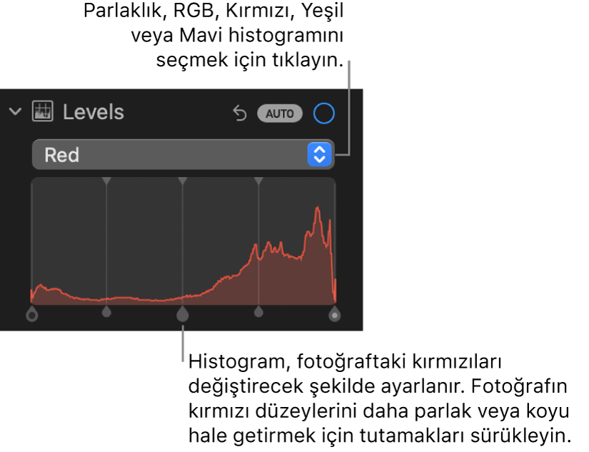 Altta fotoğrafın kırmızı düzeylerini ayarlamaya yönelik tutamaklarla Kırmızı histogramını gösteren Ayarla bölümündeki Düzeyler denetimleri.