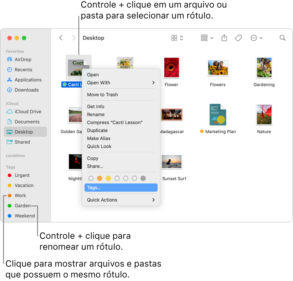 Janela do Finder contendo arquivos e pastas etiquetados, com um arquivo selecionado. No menu de atalho, há opções de cores para etiquetas e Etiquetas está destacado.