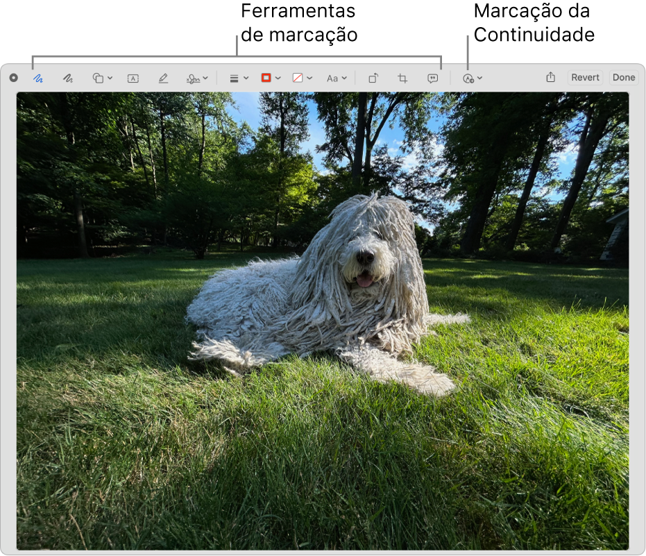 Uma imagem na janela de Marcação exibindo a barra de ferramentas das ferramentas de Marcação e a ferramenta a se clicar para usar a Continuidade de marcação em um iPhone ou iPad próximos.