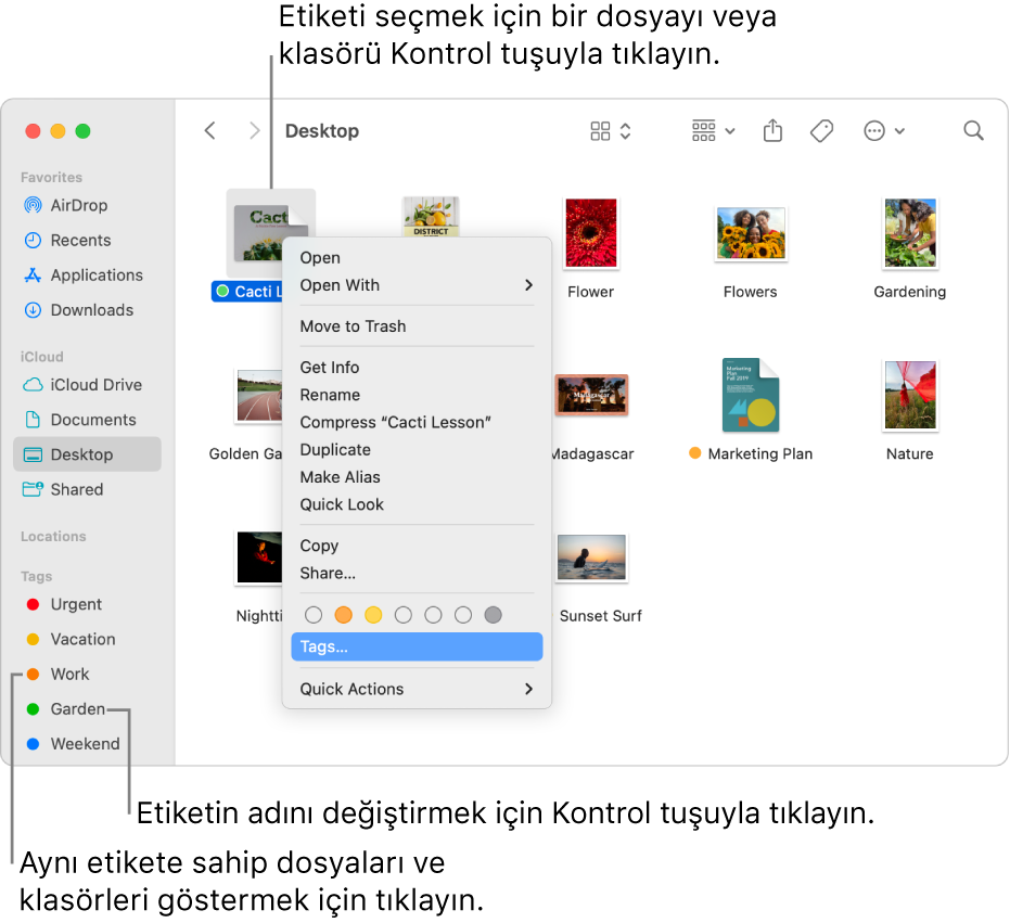 Seçili bir dosya ile birlikte etiketli dosyaları ve klasörleri içeren bir Finder penceresi. Kestirme menüsünde etiketler için renk seçenekleri var ve Etiketler vurgulanıyor.