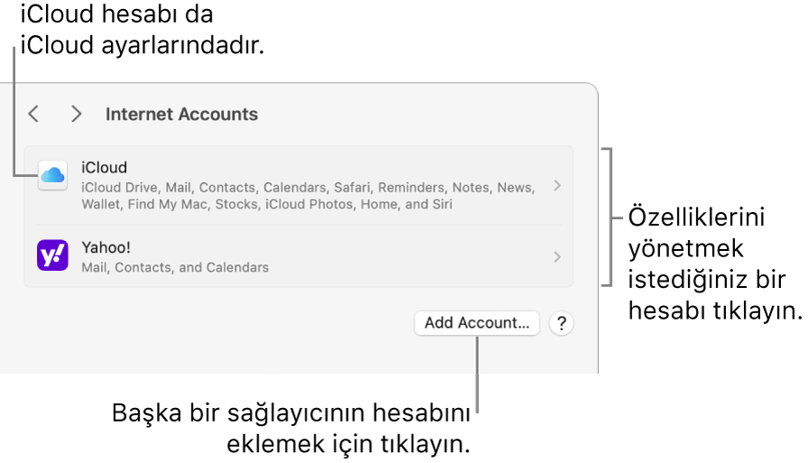 Mac’te ayarlanan hesaplar listelenmiş olarak İnternet Hesapları ayarları.