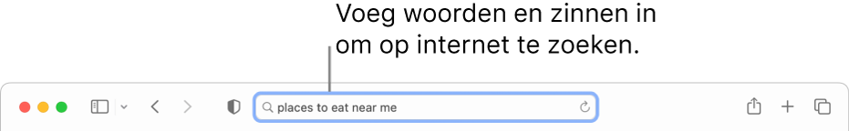 Het slimme zoekveld in Safari, waarin je woorden en woordgroepen kunt typen waarnaar je op het internet wilt zoeken.
