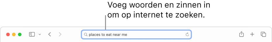 Het slimme zoekveld in Safari, waarin je woorden en woordgroepen kunt typen waarnaar je op het internet wilt zoeken.