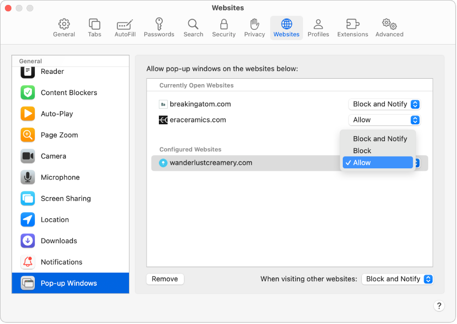 The Pop-up Windows option for Safari settings, with Allow selected for a configured website.