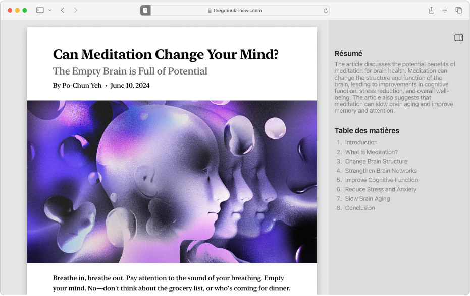 Une fenêtre du lecteur affichant le début d’un article, une table des matières et le résumé d’un article.